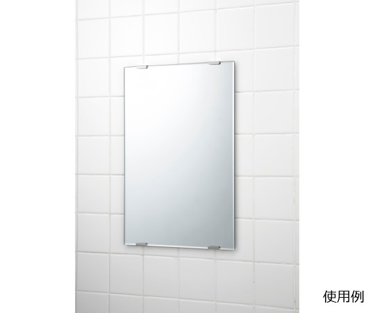 交換用鏡画像