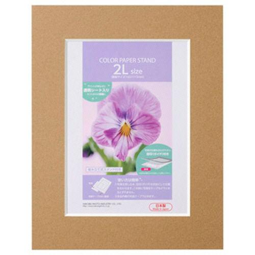 ｶﾗｰﾍﾟｰﾊﾟｰｽﾀﾝﾄﾞ 2L ﾌﾞﾗｳﾝ 1枚画像