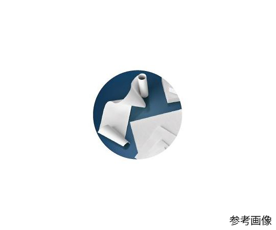 ブロッティング用 メンブレン PVDF 70×84mm 0.45μm 1箱（10枚入）画像