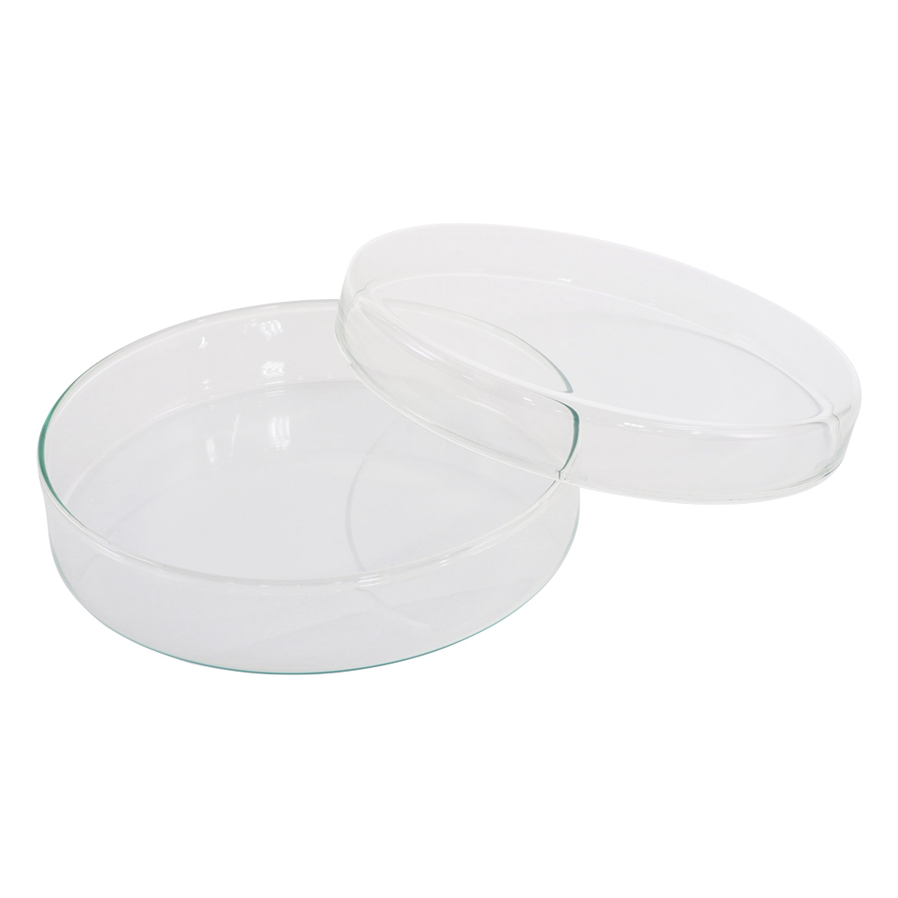 ペトリディッシュ STERIPLAN φ180×30mm画像