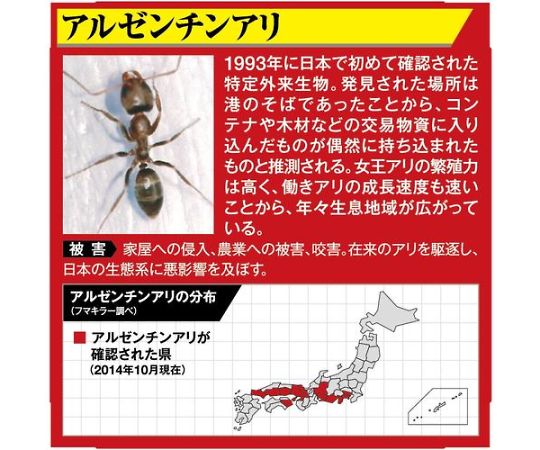 アリ用殺虫剤 アルゼンチンアリ巣ごと退治液剤1.8L パッケージの前面が中心に写り、液剤の色合いやラベルがはっきりと見える状態