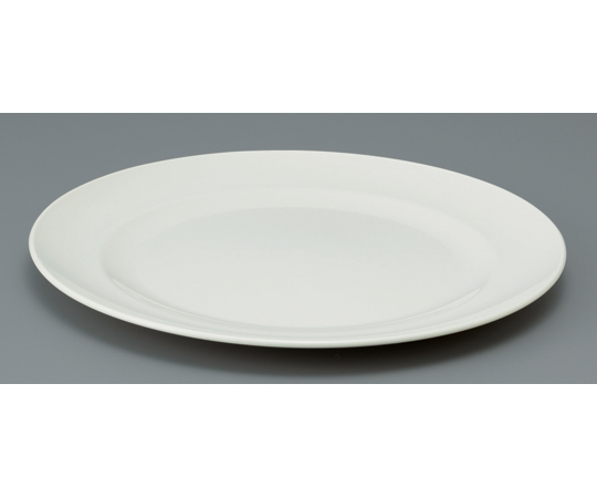 フォリオ プレート22 ホワイト画像