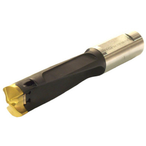 X ｶﾑﾄﾞﾘﾙ/ﾎﾙﾀﾞ 1本画像