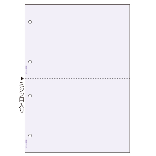 ﾏﾙﾁﾌﾟﾘﾝﾀ帳票 ｺﾋﾟｰ偽造予防用紙 浮き文字ﾀｲﾌﾟ A4 2面 4穴 1冊(100枚)画像