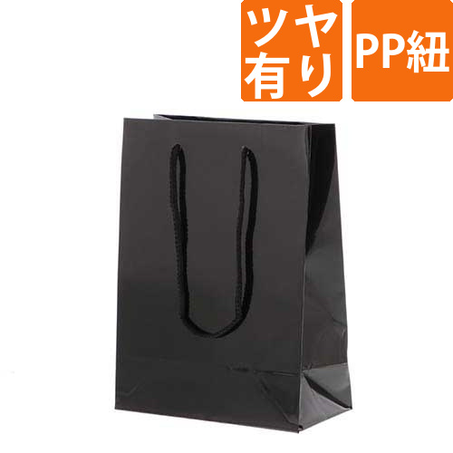 手提げ紙袋（黒 ツヤあり・PP紐・幅170×マチ85×高さ230mm）画像
