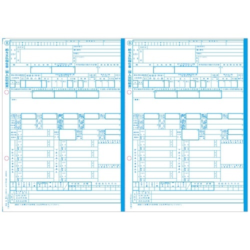 給与支払報告書(給与所得の源泉徴収票付) A4判カット R8年提出 1冊(30セット)画像