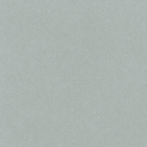 ﾆｭｰｶﾗｰR 四つ切 はいいろ 1ﾊﾟｯｸ(100枚)画像