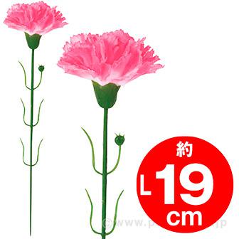 ピンクカーネーション(小)画像