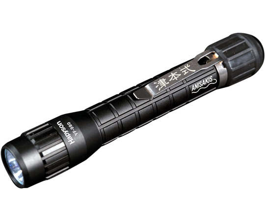 アニサキスライト