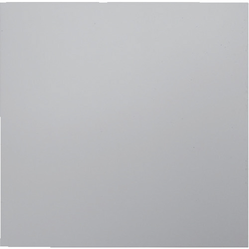 ｼﾛｺﾞﾑｼｰﾄ 1枚画像