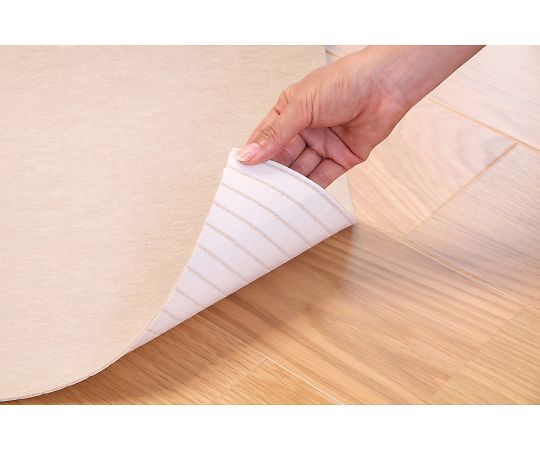 保護用吸着ぴたマット画像