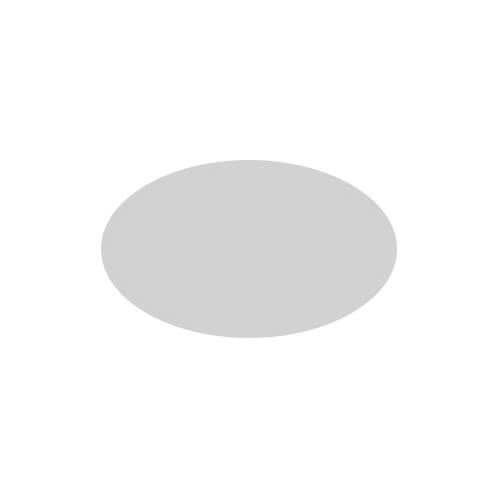 透明だ円シール２５×１５　弱粘着