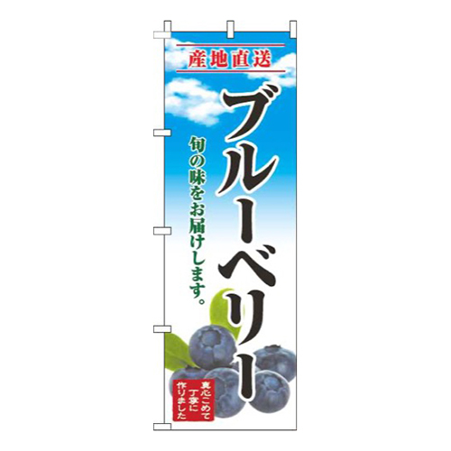 ブルーベリー青空明画像