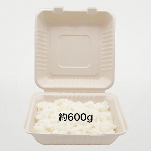 弁当容器 新BBランチ 230-230 パックスタイル 透明なフタの付いた弁当容器が並べられた様子