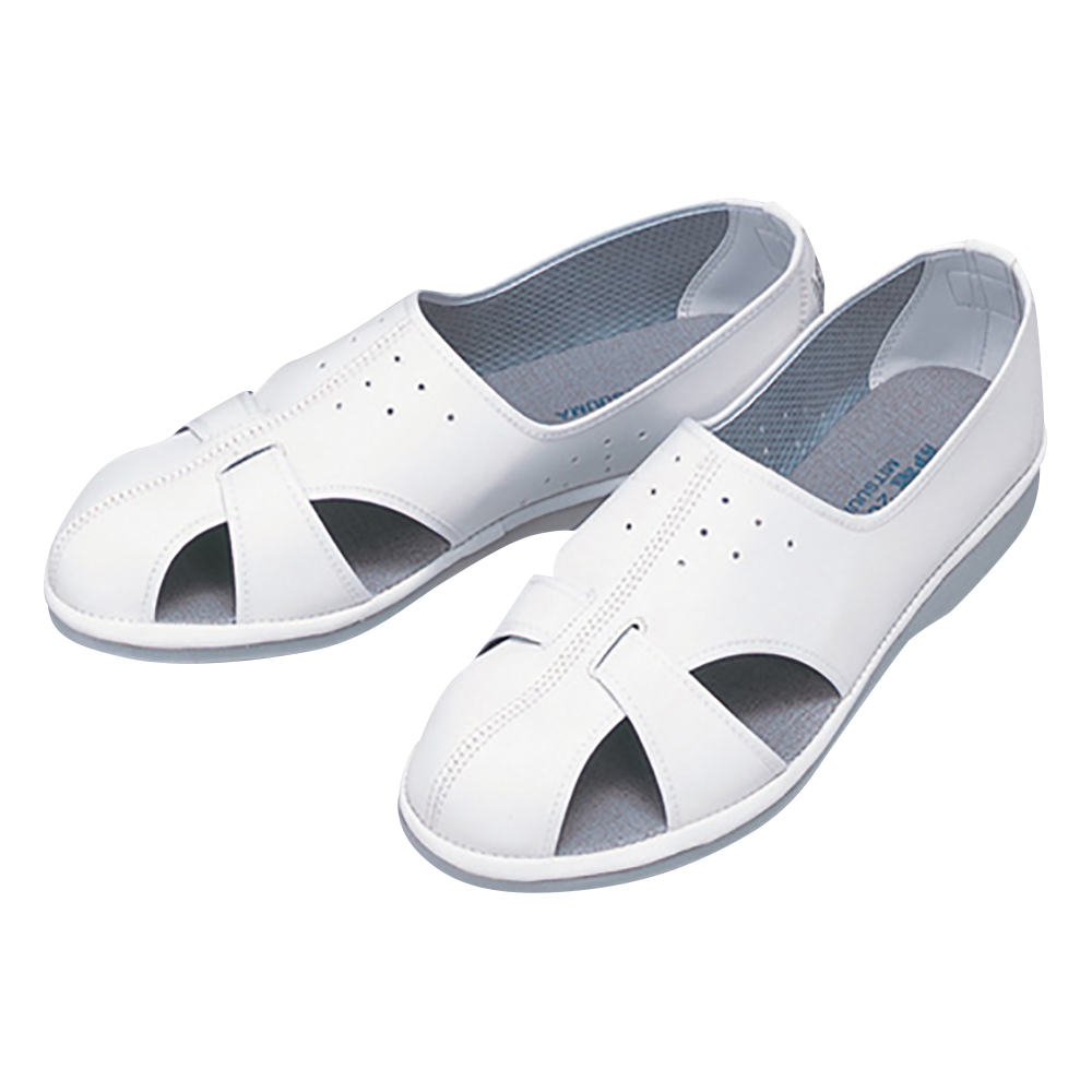 静電シューズ　エレクリヤー(R)　白　M画像