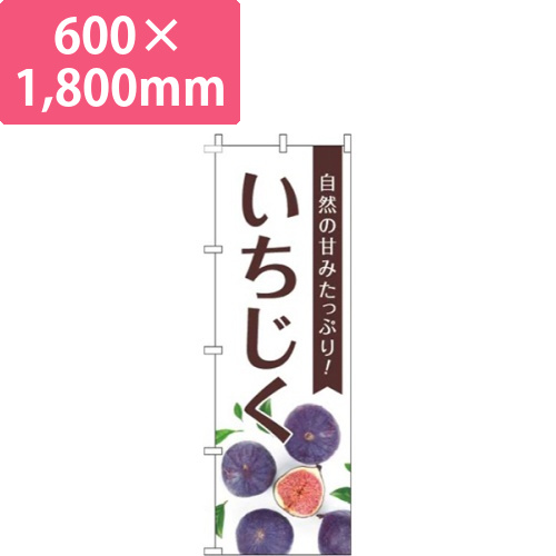 いちじく写真画像
