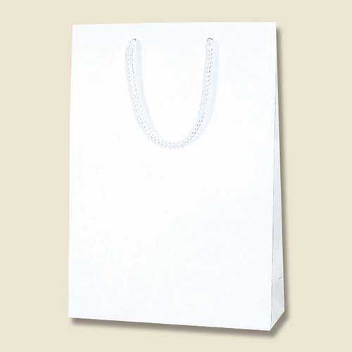 手提げ紙袋（白 ストライプエンボス・ポリエステル紐・幅225×マチ80×高さ320mm）画像
