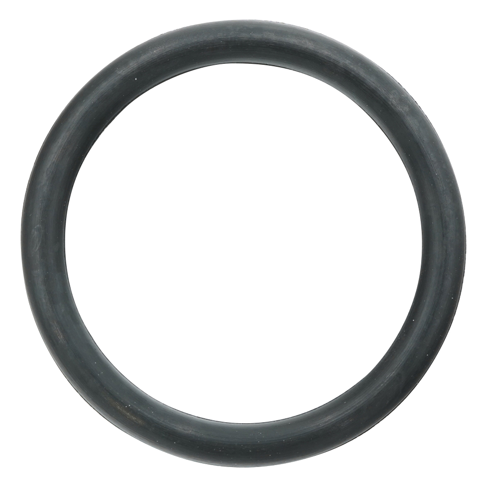 フッ素ゴムOリング（フロロプラス（TM））画像