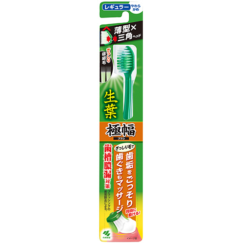 生葉 極幅ﾌﾞﾗｼ ﾚｷﾞｭﾗｰ やわらかめ 1本画像