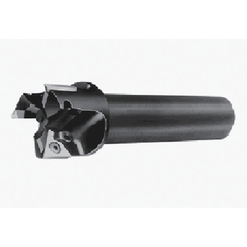 柄付TACﾐﾙ 1本画像