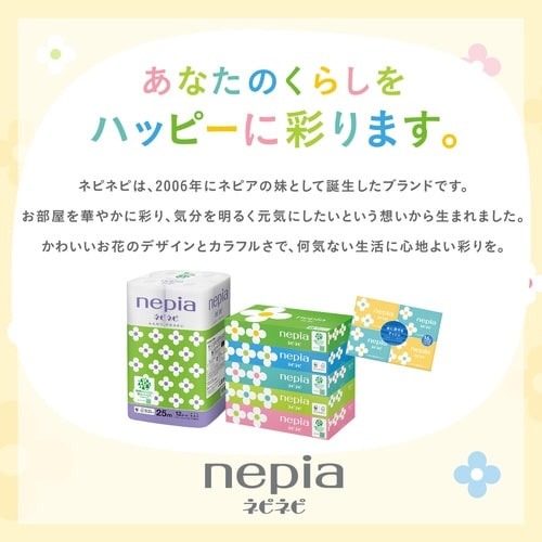 ネピネピティシュ5個パック×18 パッケージ正面に立てられた状態で、明るい背景に置かれている。