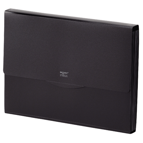 ﾘｸｴｽﾄ 不透明ﾄﾞｷｭﾒﾝﾄﾌｧｲﾙ A4 13ﾎﾟｹｯﾄ 黒 1冊画像