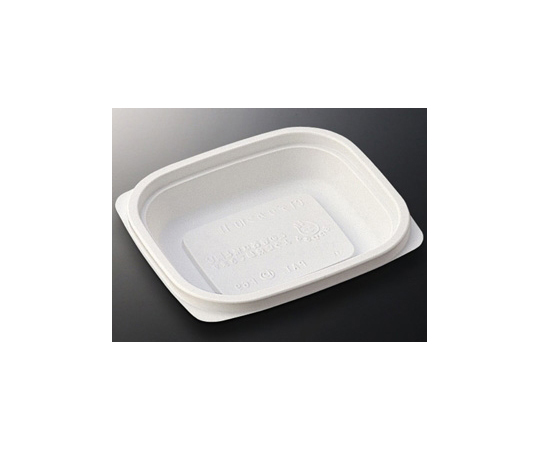 惣菜容器 CTデリカン10-11 身 2000枚画像