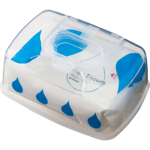 ｳｴｯﾄﾃｨｯｼｭ ﾜﾝﾌﾟｯｼｭｹｰｽ 本体 1個(80枚)