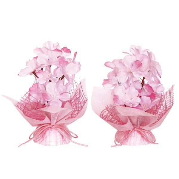 春色桜ペアセット画像