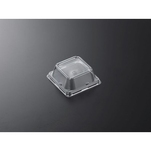 中央化学 SD FS9 蓋画像