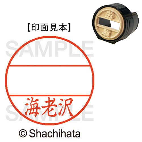ﾃﾞｰﾀｰﾈｰﾑEX15号 ﾏｽﾀｰ部(印面) 既製 海老沢 1個画像