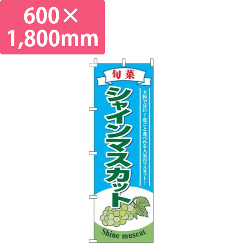 シャインマスカット水色画像