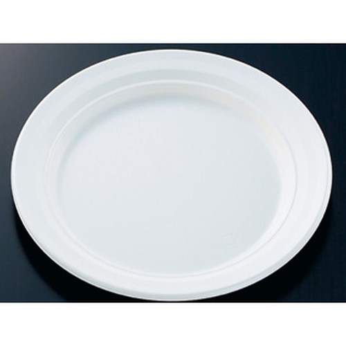 中央化学 軽食容器 CT 沙楽 M24 W 本体画像