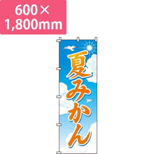 夏みかん太陽・鳥画像