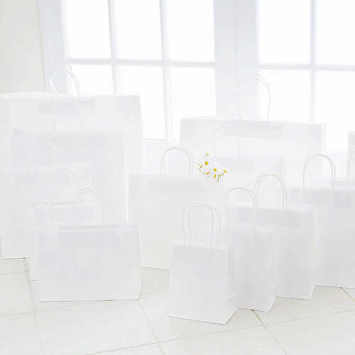 ギフト用や持ち帰りに！同シリーズ最大丈の大型手提げ紙袋