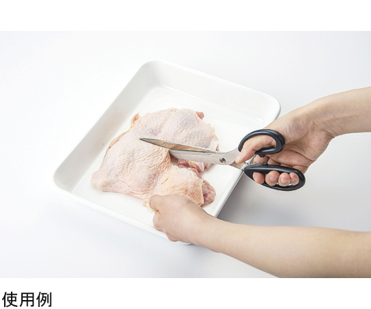 プログレード 焼肉ハサミ255 刃先が鋭く、持ち手が緑色の焼肉用ハサミが上向きの角度で置かれている様子