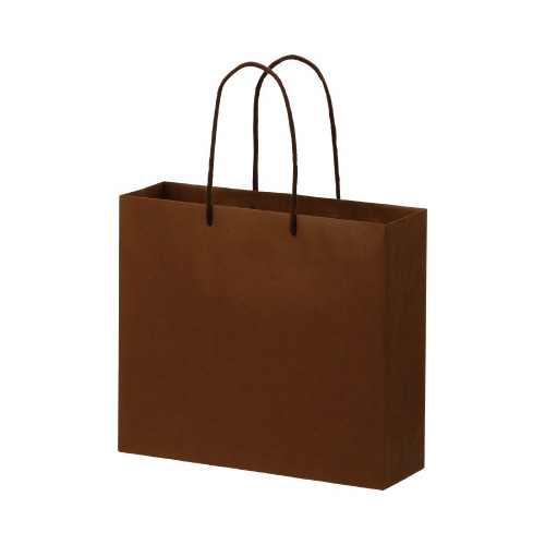 ペーパーバッグＭＬ茶１０枚入画像