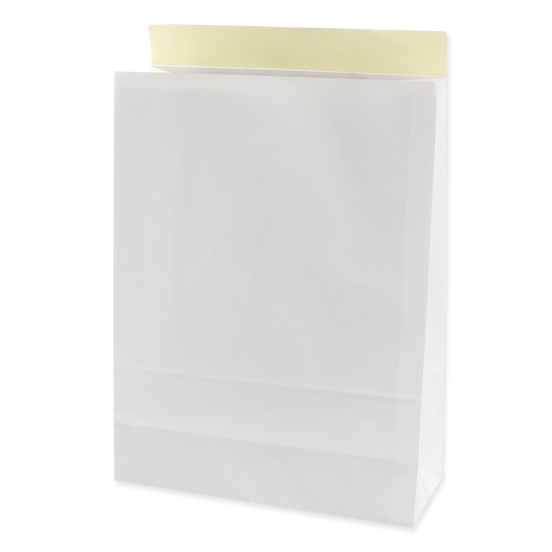 宅配袋　３Ｌ　白無地画像