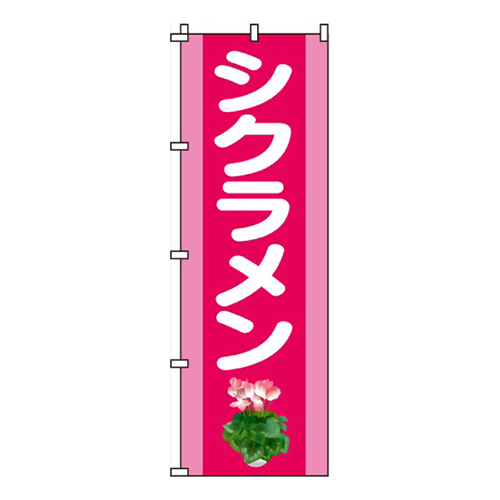 シクラメン画像