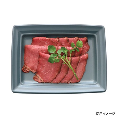 中央化学 軽食容器 CT 沙楽 K24-18 NGR-BK 本体画像