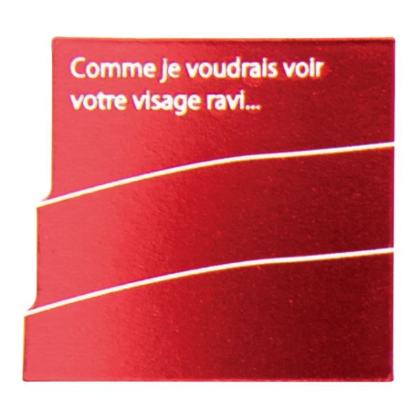 スウィーツ用品 モードケーキピック レッド-1(100枚) ヘッズ画像