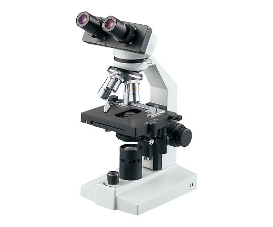 生物顕微鏡画像