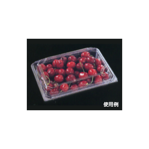 エフピコ フードパック APSA-416-40 エコ画像