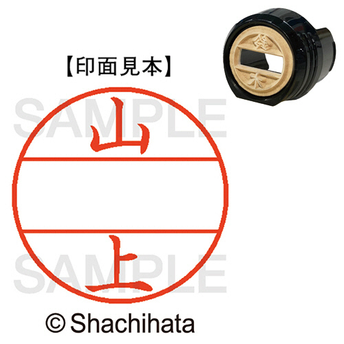 ﾃﾞｰﾀｰﾈｰﾑEX12号 ﾏｽﾀｰ部(印面) 既製 山上 1個画像