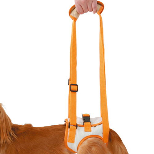 zuttone 老犬介護用 歩行補助ﾊｰﾈｽ 後足用K M 1個画像