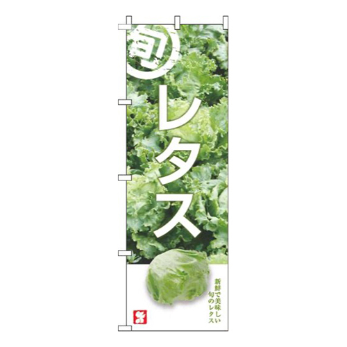 レタス旬写真画像