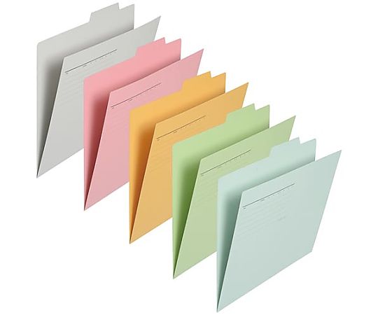 個別フォルダー　A4横　アソート5色10冊パック画像
