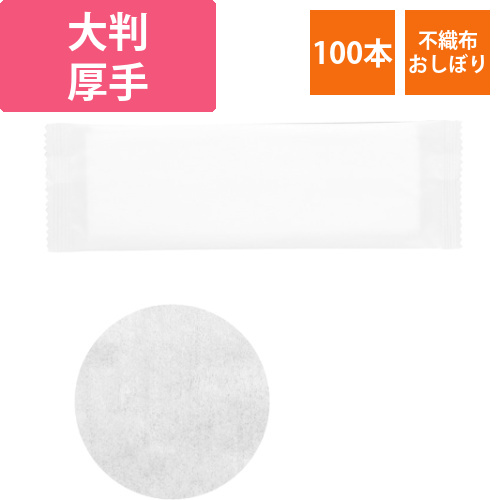 ヘイコー不織布おしぼり大判厚手　平　260×280画像