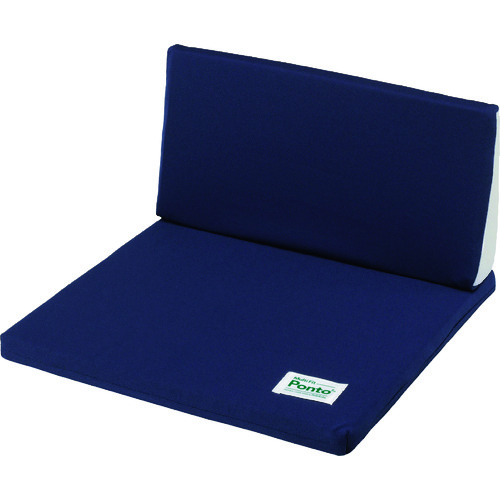 ＳＯＦＴ９９　ボディドクター　マルチフィット　ポント　インディゴブルー画像