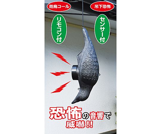 [単3x2本]140x155x490mm 疑似カラス(音付) 黒い疑似カラスが前方に位置し、側面に音を発するボタン付きのパッケージが見える状態